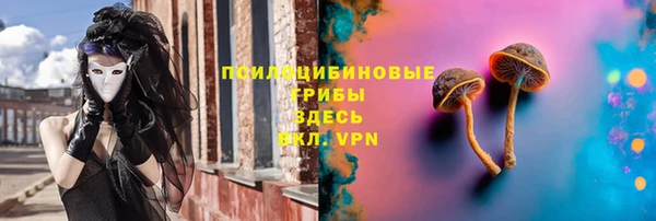 дживик Абаза