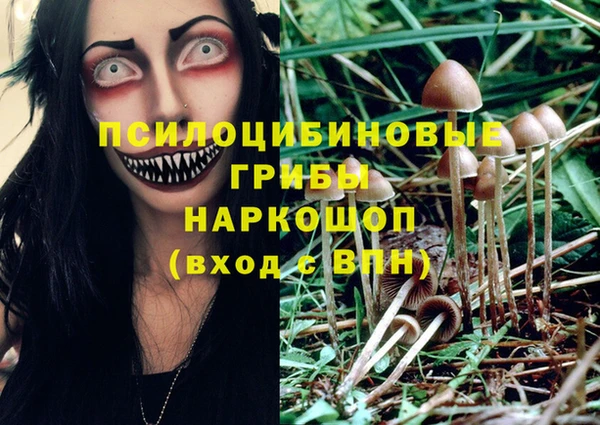 шишки Абинск