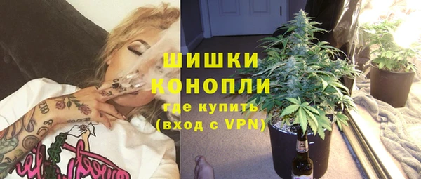 дживик Абаза