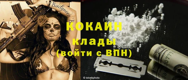 дживик Абаза