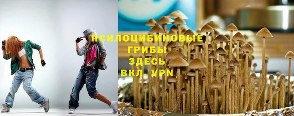 шишки Абинск