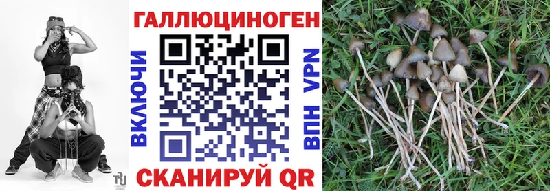 МЕГА ONION  Ефремов  Галлюциногенные грибы Magic Shrooms 