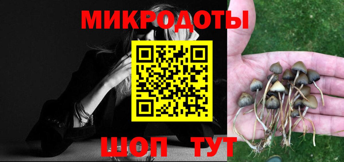 Галлюциногенные грибы мухоморы Ефремов